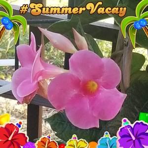 Meet your Posher, Cathy